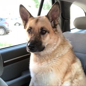 Meet your Posher, Chloe